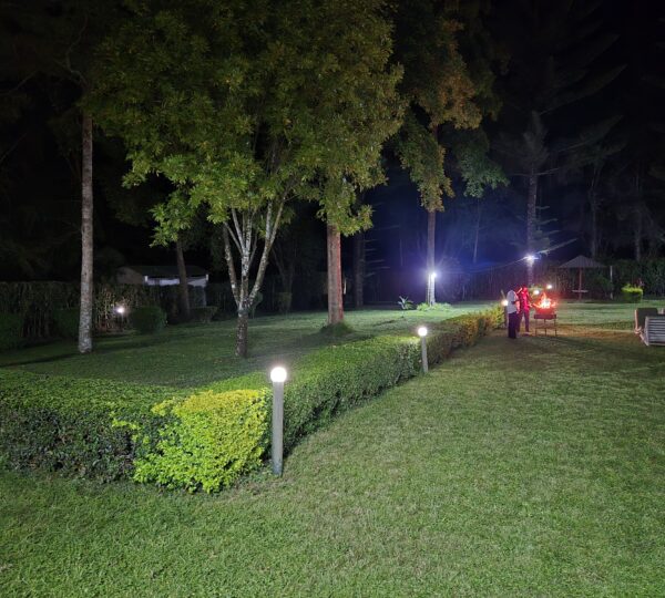 Night View